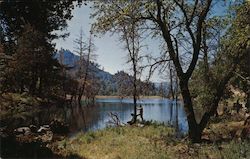 Calistoga Ranch Club Postcard