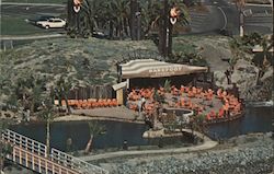 Vacation Village Hotel Postcard