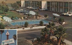 American MoteLodge Postcard