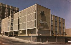 The Oasis Motel Postcard