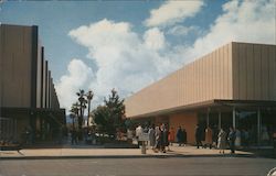 The Mall Palo Alto, CA B. Frank Thompson Postcard Postcard Postcard