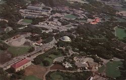 Aerial View of San Francisco Zoo Postcard
