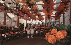 Carmel Valley Begonia Gardens Postcard