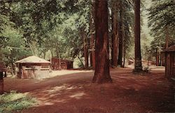 Ripplewood Resort Postcard