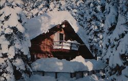 The Masters Postcard