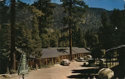 Pinewood Lodge Postcard