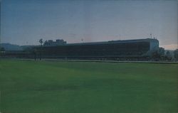 Bay Meadows Postcard