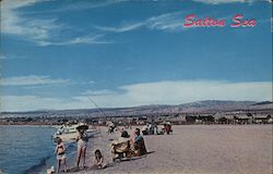 Salton Sea State Park Postcard