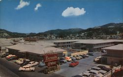 Litchfield's Bermuda Palms Postcard