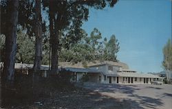Motel Alto 817 Redwood Highway (U.S. 101) Postcard