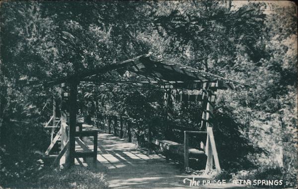 The Bridge Aetna Springs California