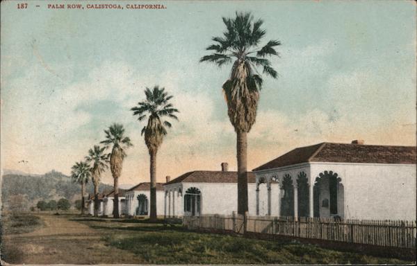Palm Row Calistoga California