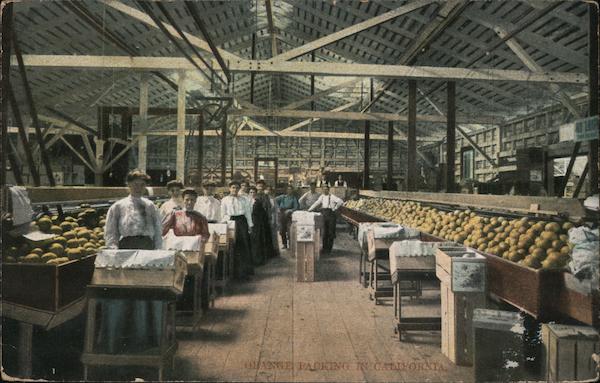 Orange Packing in California