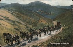 Freighting from the Mines. Eight pair horses pulling mine wagon. California Mining Postcard Postcard Postcard