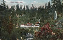 Shasta Springs Postcard