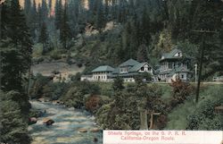 Shasta Springs, on the S.P.R.R. California-Oregon Route Postcard
