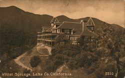 Witter Springs, Lake Co. California Postcard
