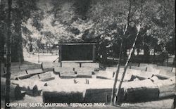 Camp Fire Seats, California Redwood Park Postcard