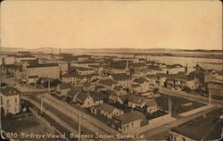 Birds Eye View of Business Section Postcard