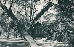 Dining Room Postcard