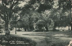 Three of the Cottages Postcard