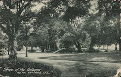 Three of the Cottages Aetna Springs, CA Postcard Postcard Postcard