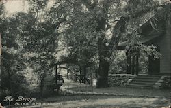 The Bridge Aetna Springs, CA Postcard Postcard Postcard