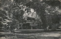 The Grounds Aetna Springs, CA Postcard Postcard Postcard