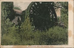 Old Ivy Covered Mill Near Napa Valley, CA Postcard