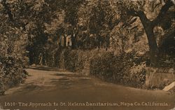 The Approach to St. Helena Sanitarium, Napa County Saint Helena, CA Postcard Postcard Postcard