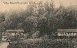 Cottage Scene at Woodworth's Postcard