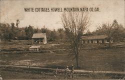 White Cottages, Howell Mountain Angwin, CA Postcard Postcard Postcard
