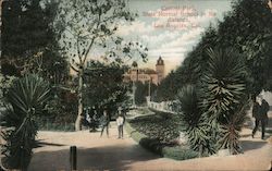Central Park, State Normal School in the distance Postcard