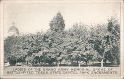 Ladies of the Grand Army Memorial Grove of Battlefield Trees, State Capitol Park Postcard