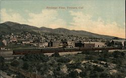 Bird's Eye View Postcard