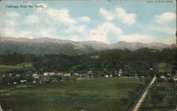 Calistoga from the North Postcard