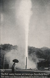 The Hot Water Geyser at Calistoga Postcard