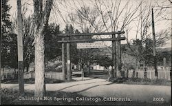 Calistoga Hot Springs Postcard