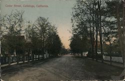 Residential Area Of Cedar Street Postcard