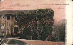 Pioneer Mill Postcard