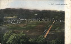 Bird's Eye View Postcard