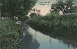 Canal north of Lemoore, Calif. Postcard