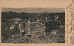 Stock #822647 Thumbnail