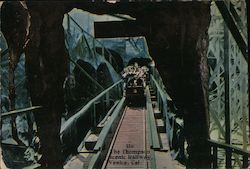 On the Scenic Thompson Railway Postcard