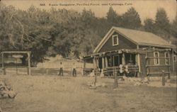 A Rustic Bungalow, Petrified Forest Calistoga, CA Postcard Postcard Postcard