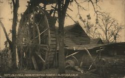 Old Mill, near Petrified Forest Calistoga, CA Postcard Postcard Postcard