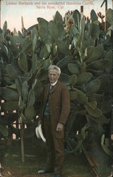 Luther Burbank and His Wonderful Thornless Cactus Postcard