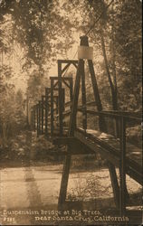 Suspension Bridge at Big Trees Postcard