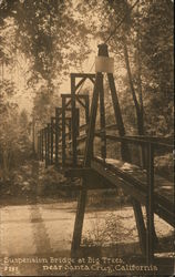 Suspension Bridge at Big Trees Santa Cruz, CA Postcard Postcard Postcard