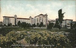 Scene at the Hotel Green, On New Year's Day Postcard